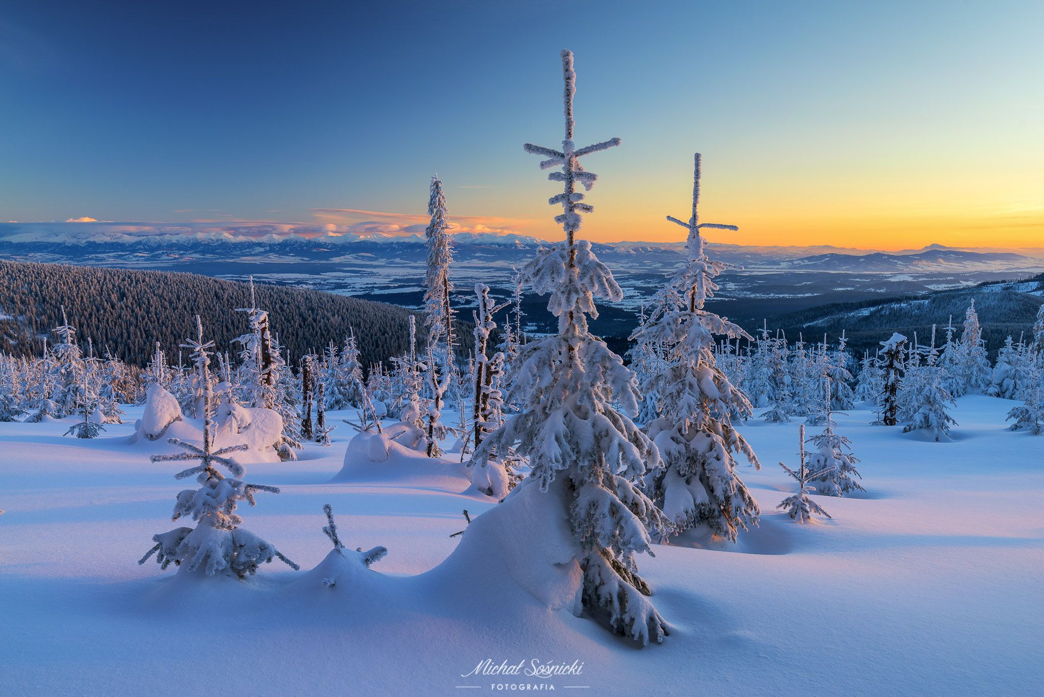 #tree #winter #sunset #sky #wood #nature #amazing #earth #pics #photo #best #poland #pentax #benro #haida, Michał Sośnicki
