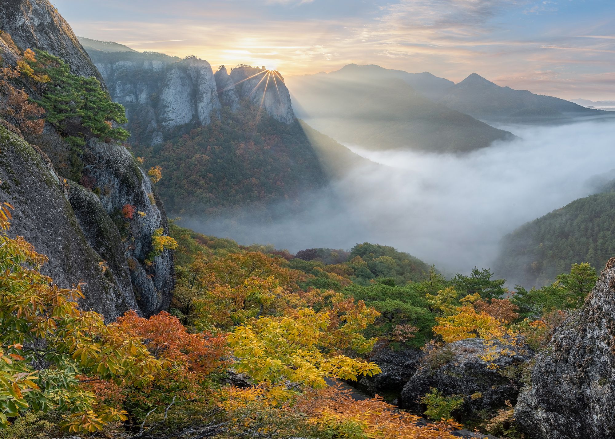 mountain, tree, nature, clouds, autumn, top, Jaeyoun Ryu