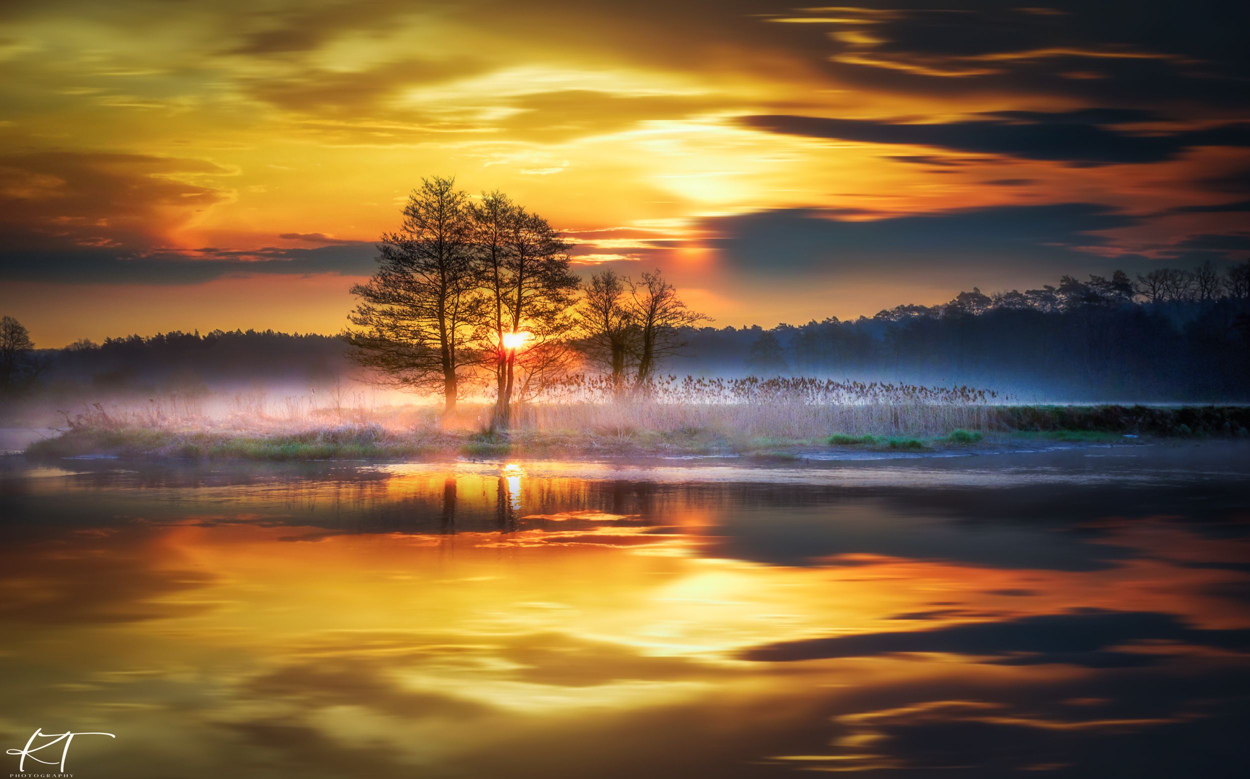 sunrise, golden dawn, fog, river, Gwda, landscape, nature, tree, atmosphere, reflection, sun, sky, clouds, sunlight, forest, Krzysztof Tollas