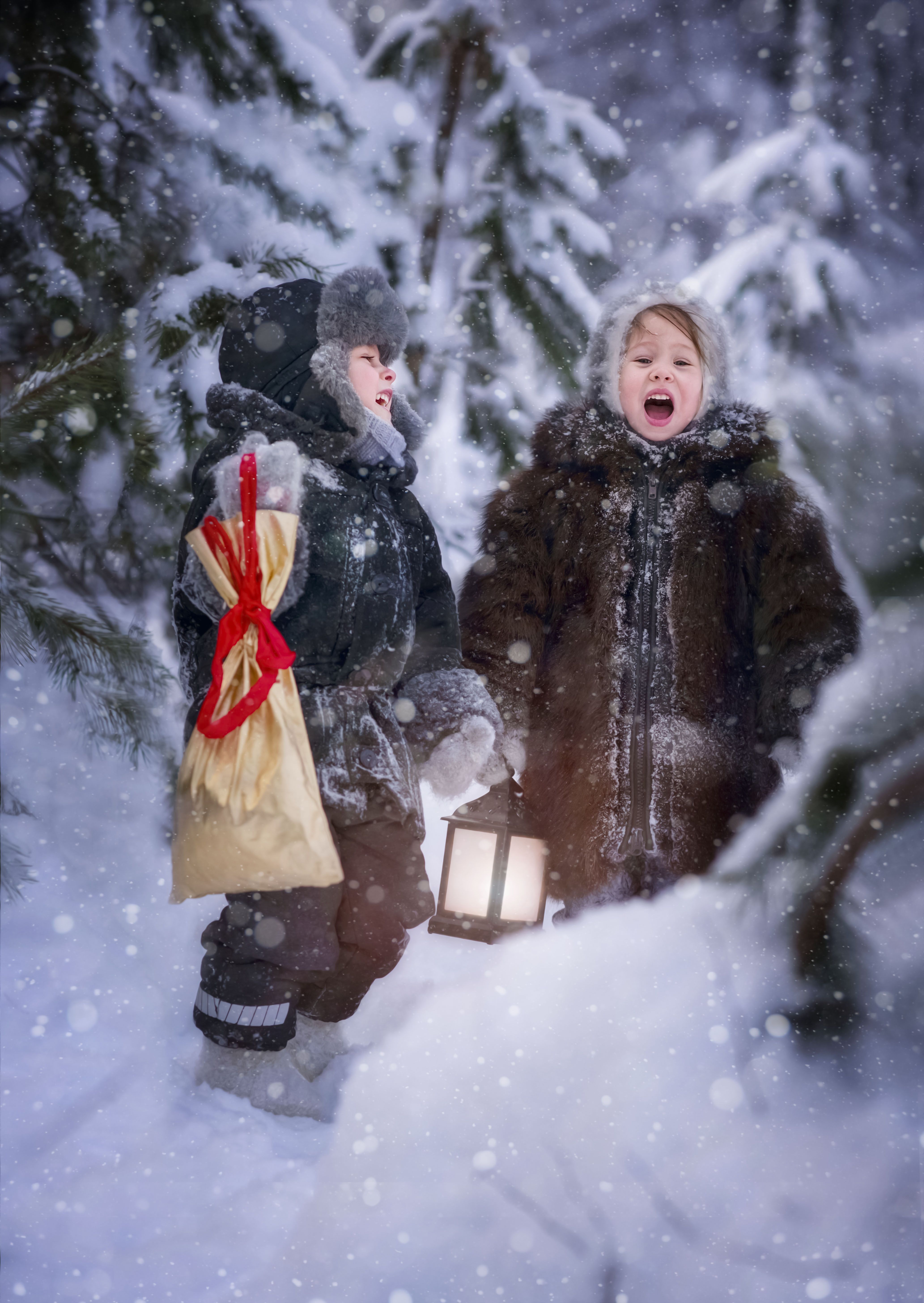 лес,сказка,зима,Рождество,снег,веселье,радость, Ирина Ефимова
