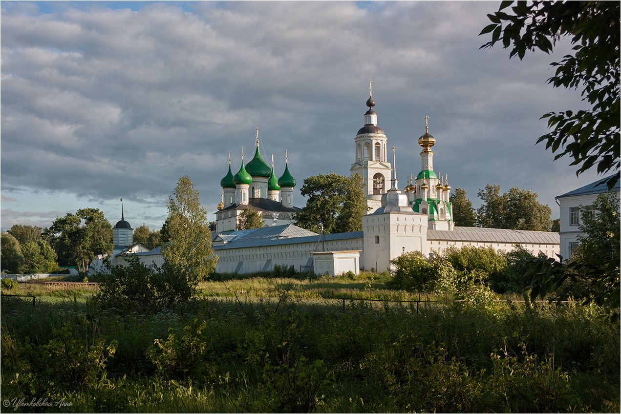 ярославль, толга, монастырь, храм, Анна Цветковская
