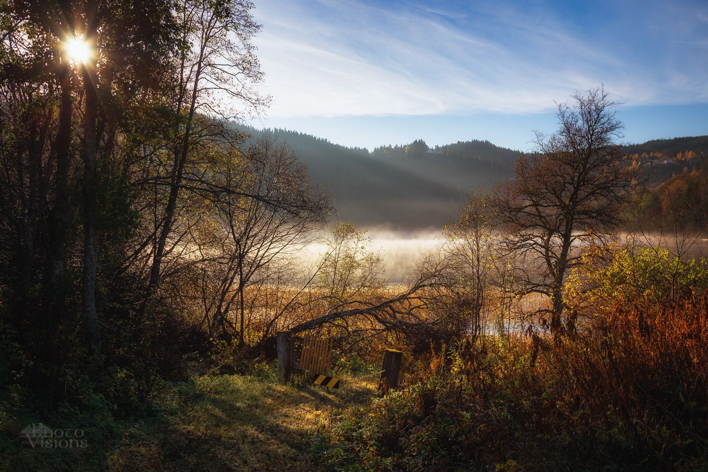 autumn,lake,tree,norway,morning,fog,sunrise,, Adrian Szatewicz