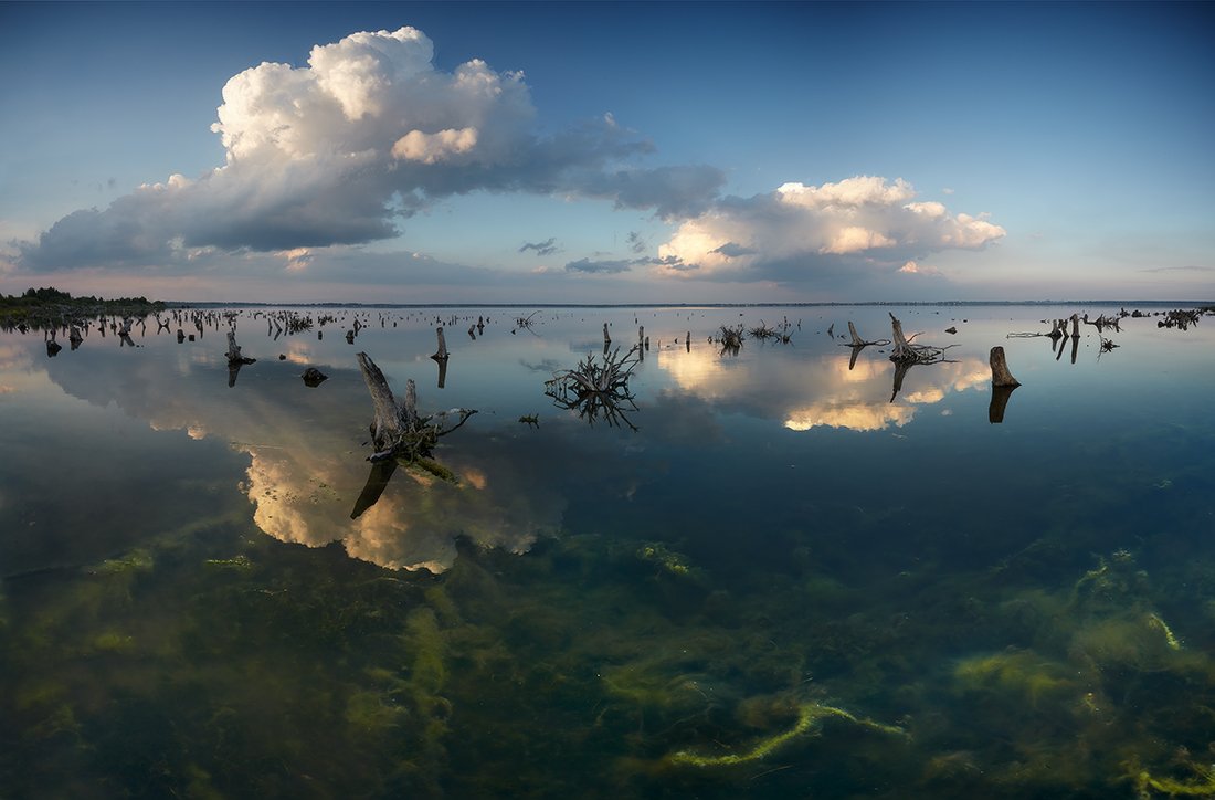 Озеро облака водоросли, Михаил Трахтенберг