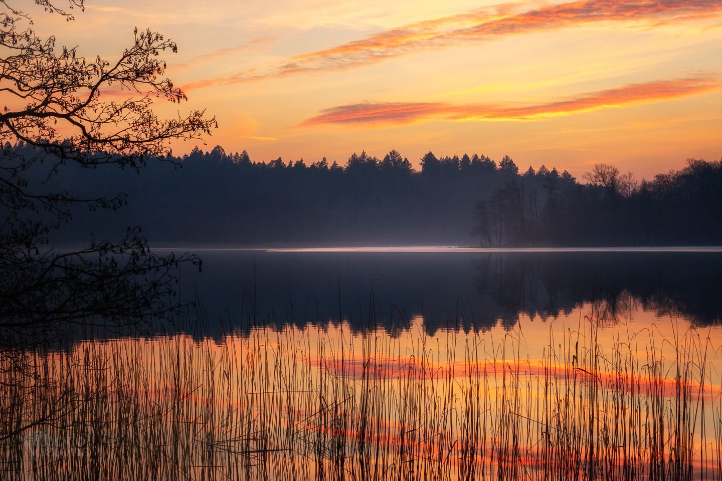 sunset,light,reflections,lake,shore,poland,woodland,forest,winter,, Adrian Szatewicz