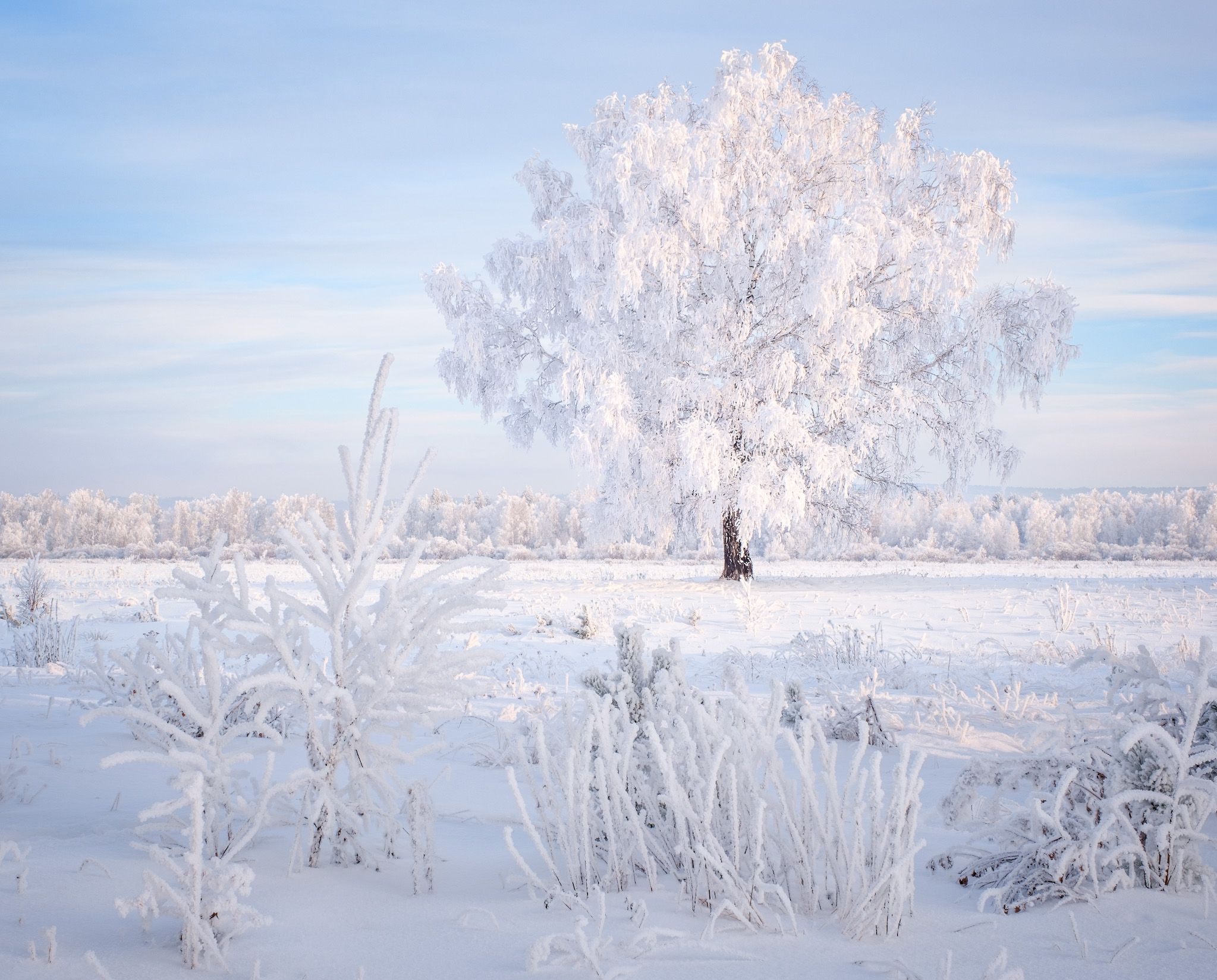 зима, зимний пейзаж, пейзаж ,снег, сибирь, мороз, winter, fujifilm, Леонтьев Константин