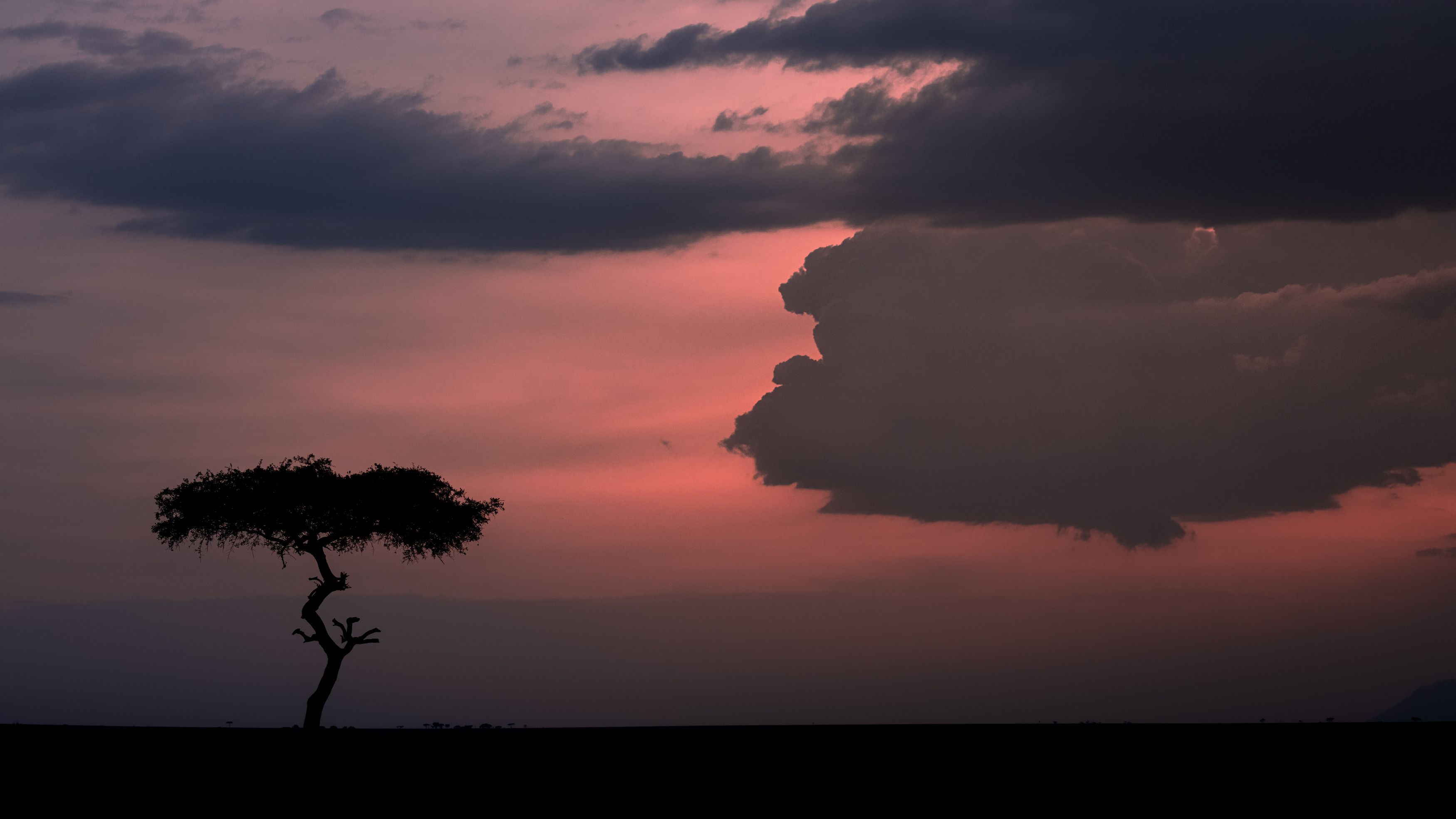 sky, evening, sunset, dusk, clouds, cloud, africa, tree, kenya, masai mara, mara, Roman Bevzenko