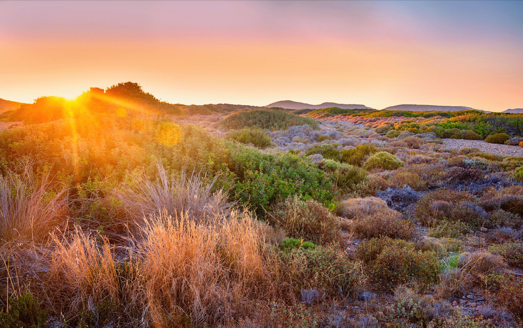 греция крит закат солнце лучи колючие кустарники мхи, Андрей Кобыща