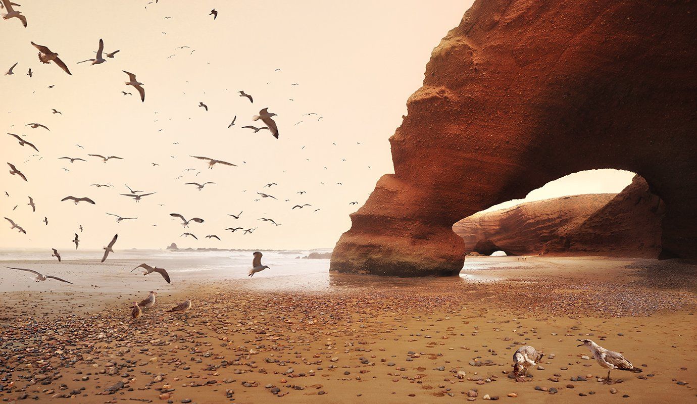 marokko, legzira, beach, seagulls, Сергей Хромов