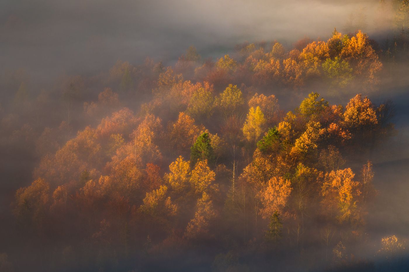 landscape,autumn,mountains,canon, Iza i Darek Mitręga