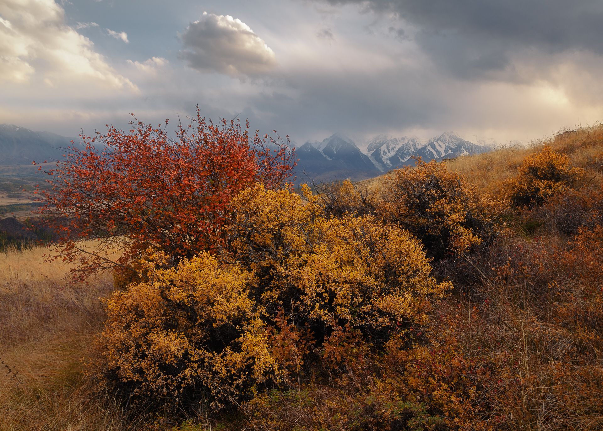 алтай, Александр Писарев