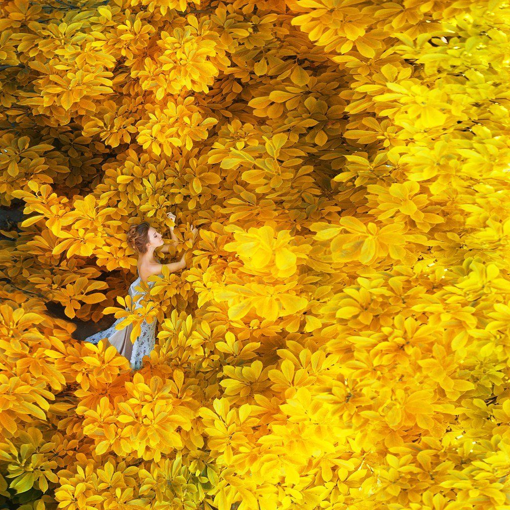 dmytro sobokar, golden, leaves, woman,portrait,sobokarfoto, Дмитро Собокар