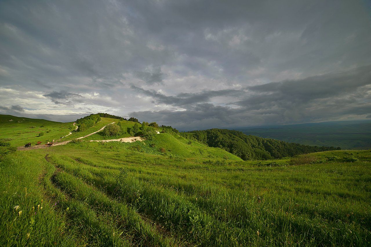 , Гоголев Андрей