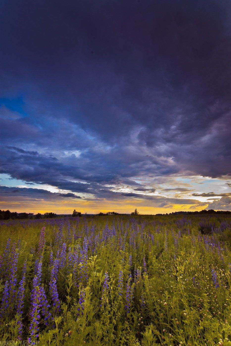 Clouds, Clouds decline flowers landscape, Decline, Flowers, Landscape, Sky, Прокопьевск, Максим Яцко