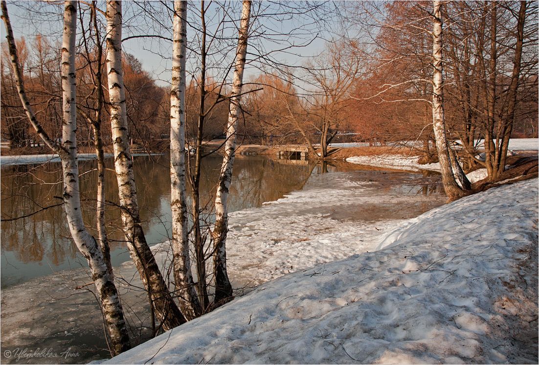 весна, кузьминки, Анна Цветковская