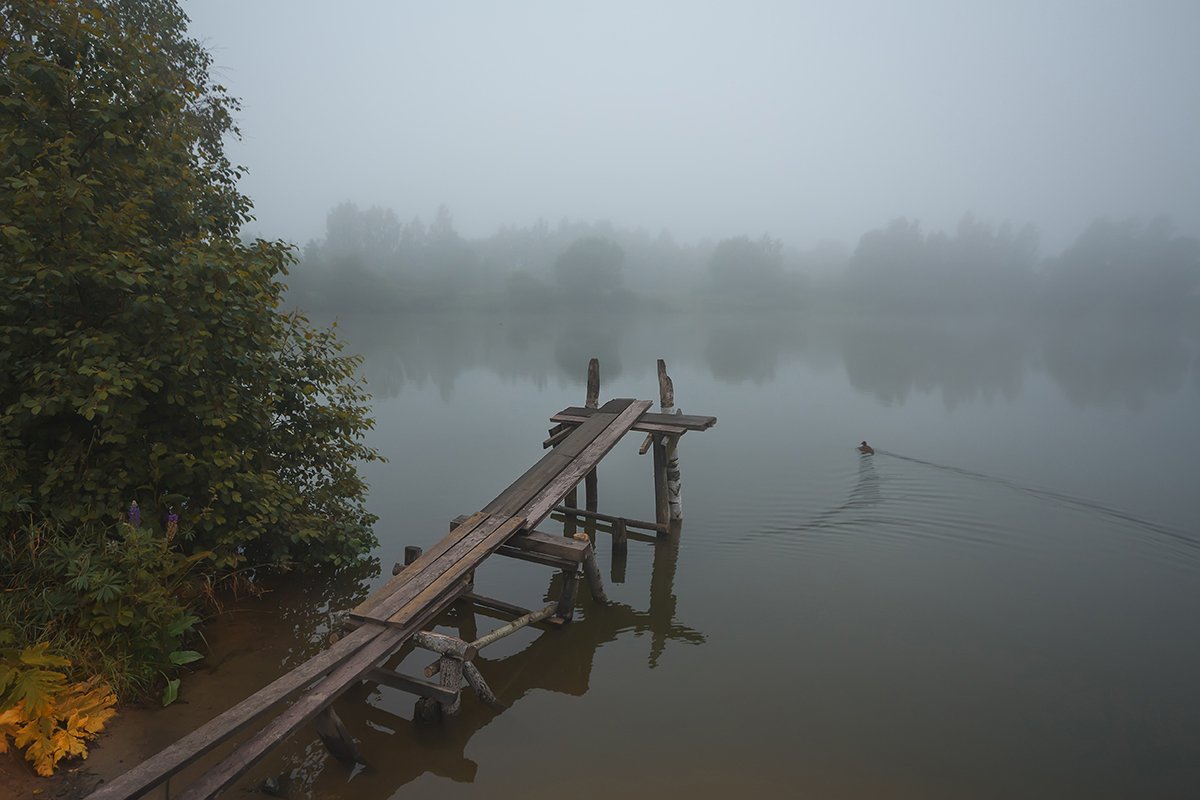 , Аркадий Белов