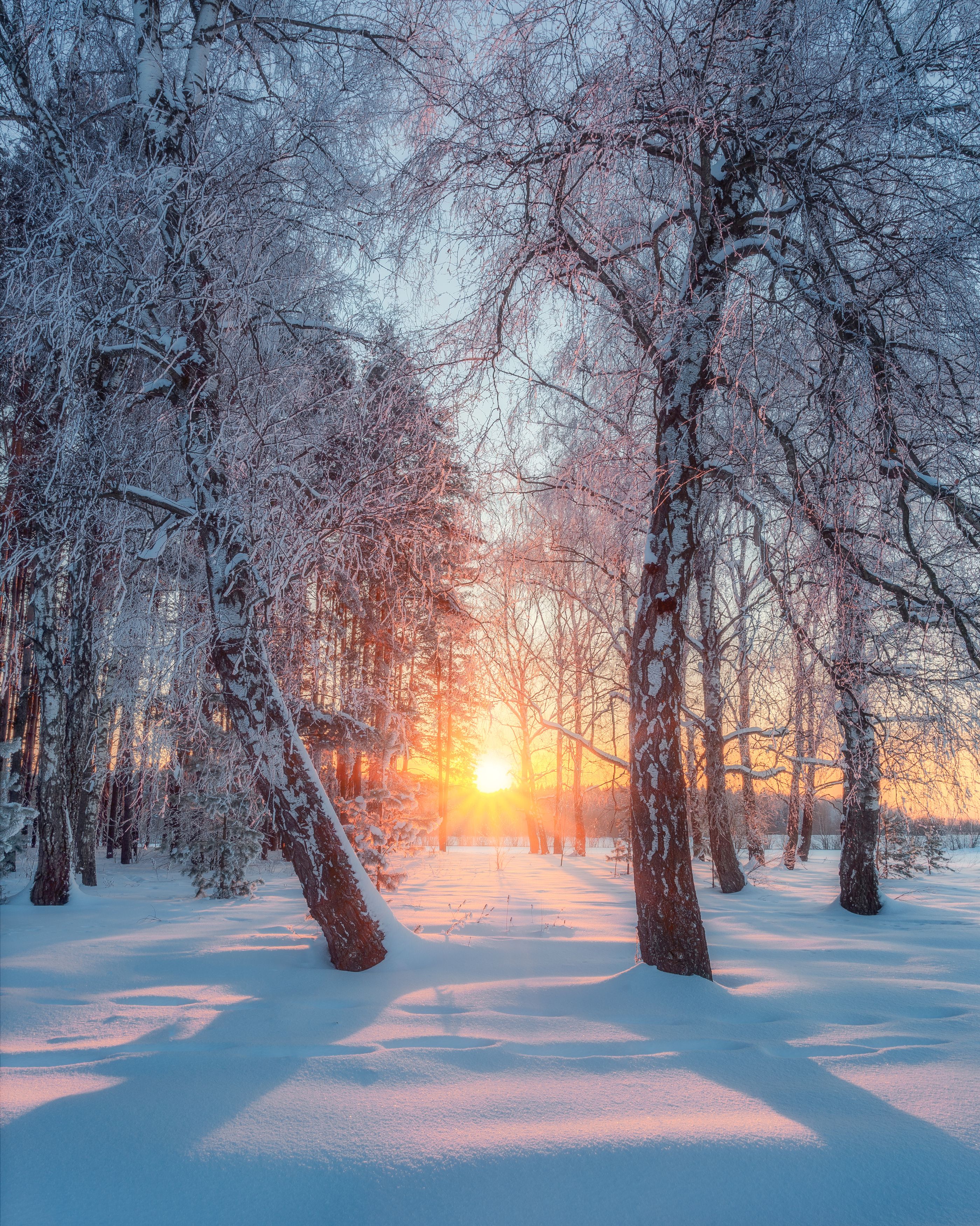 природа, закат, Московская область, пейзаж, зима, Мартыненко Дмитрий