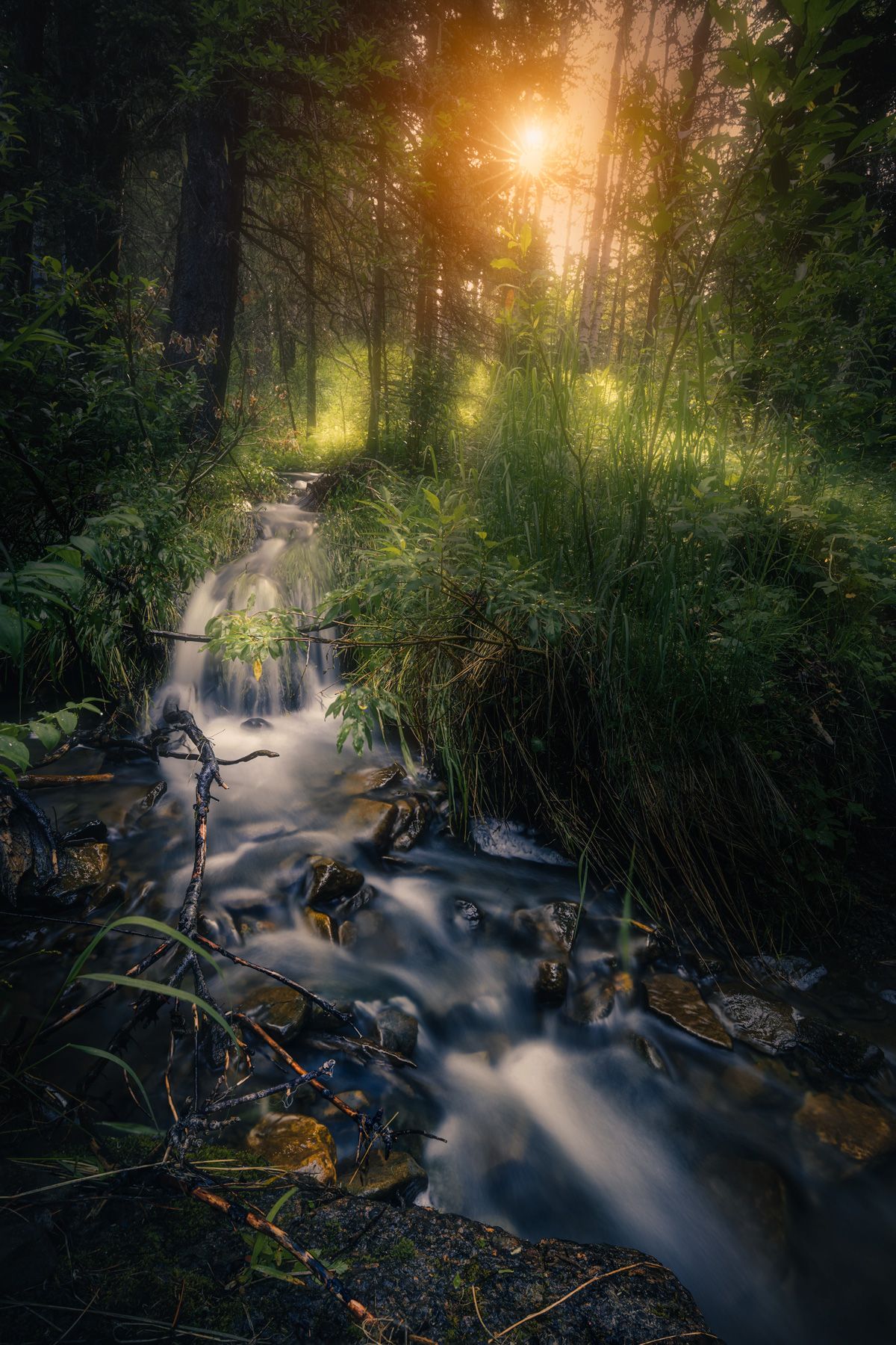 landscape, secluded, spot, nature, outdoor, tree, forest, grass, creek, river, water, morning, sun, light, Zhao Huapu