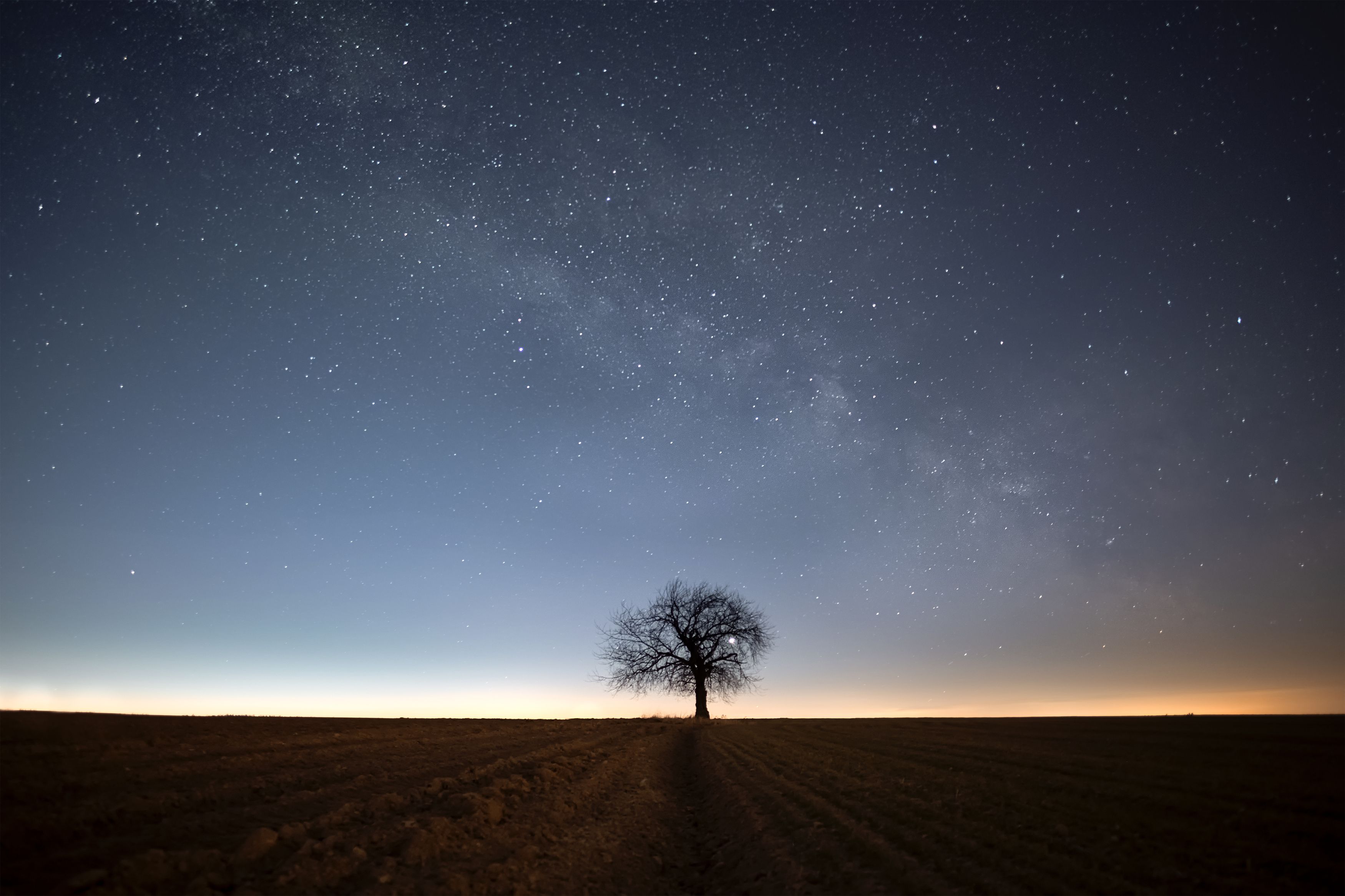night, star, milkyway, tree, Milan Samochin