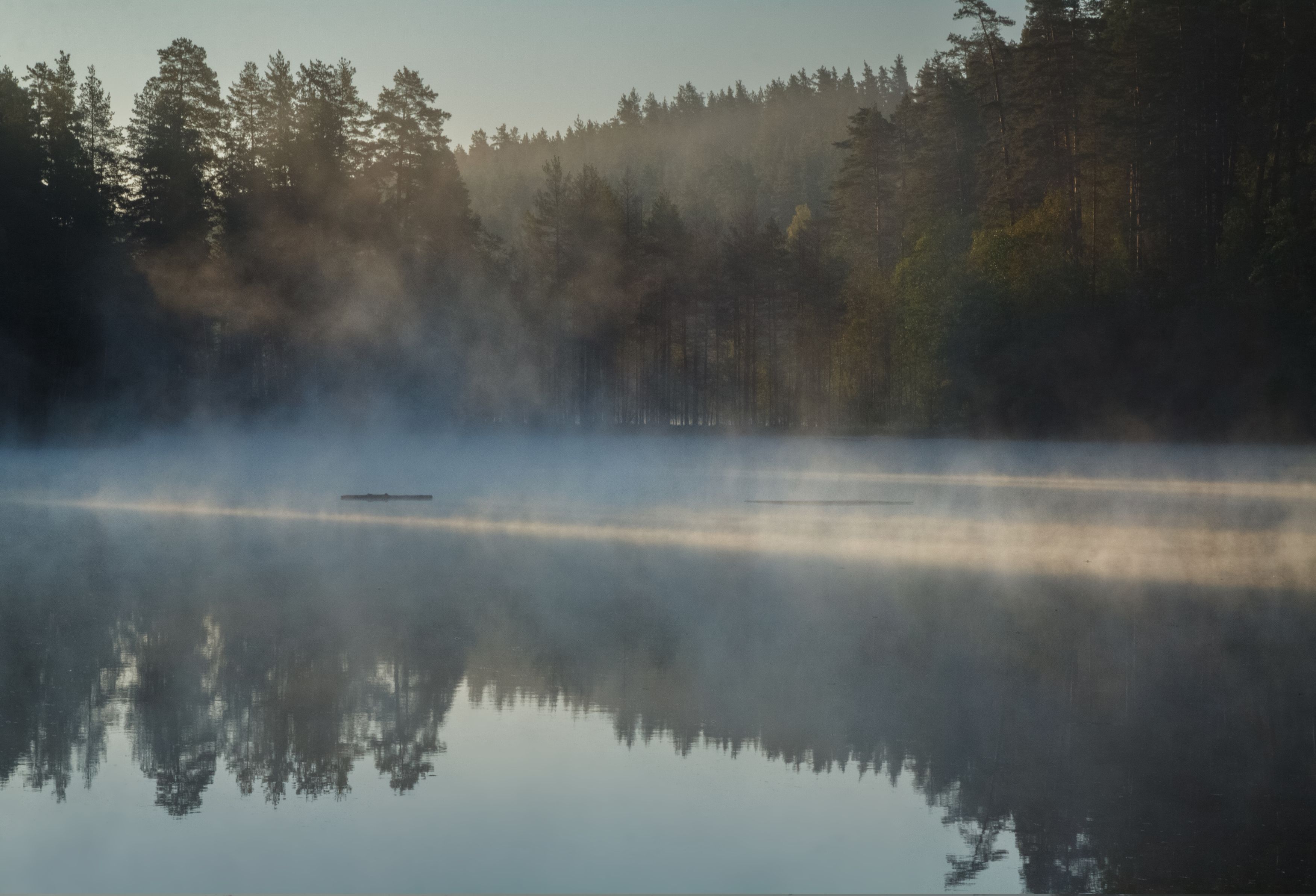 озеро, отражение, туман, лес, утро, Светлана Холодняк