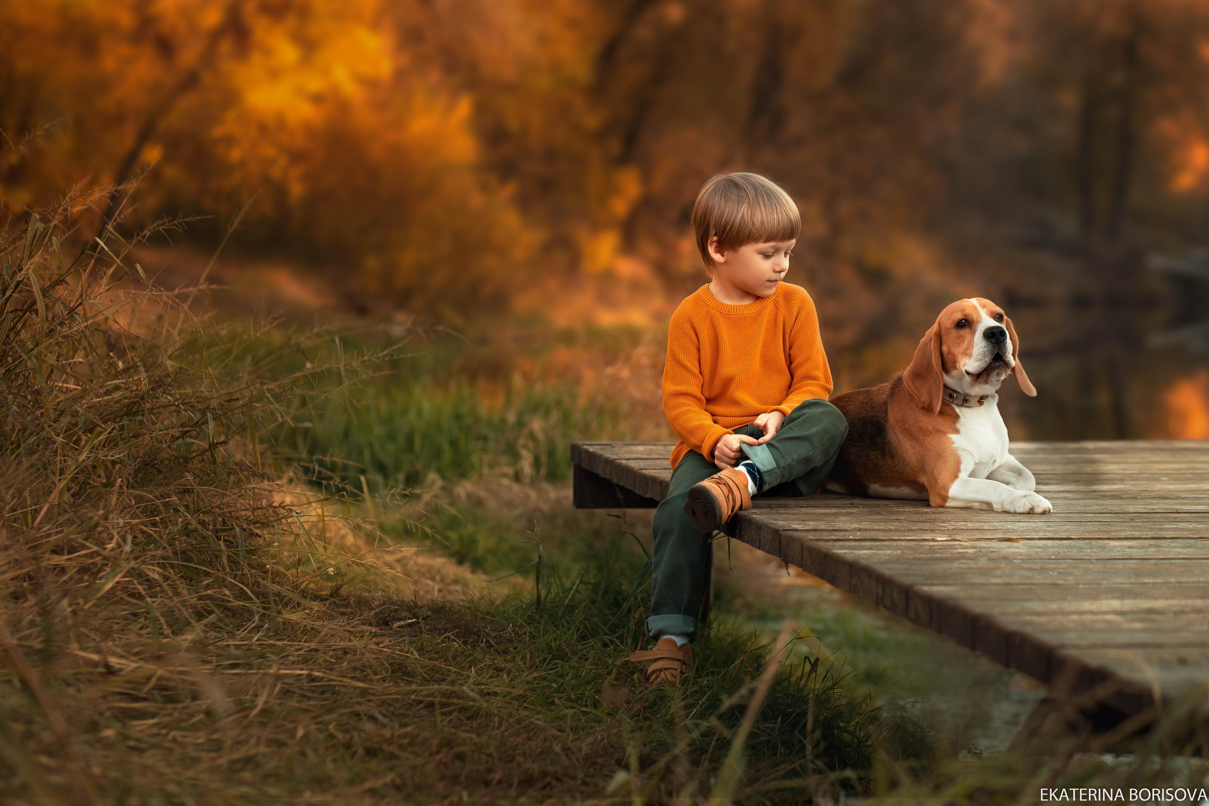 фото с собачкой ребенок и собачка мальчик природа животные собаки бигли бигль малыш и собачка, Екатерина Борисова