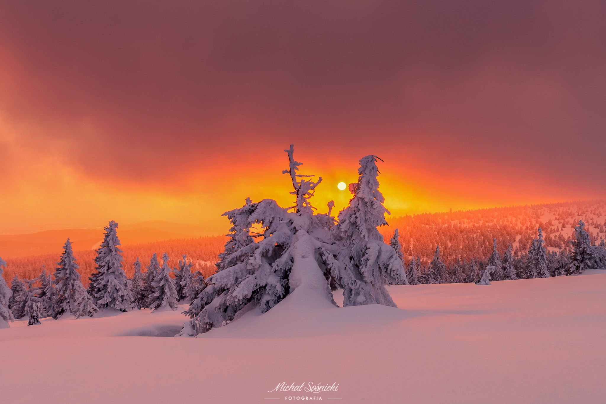 #tree #winter #sunset #sky #wood #nature #amazing #earth #pics #photo #best #poland #pentax #benro #haida, Sośnicki Michał