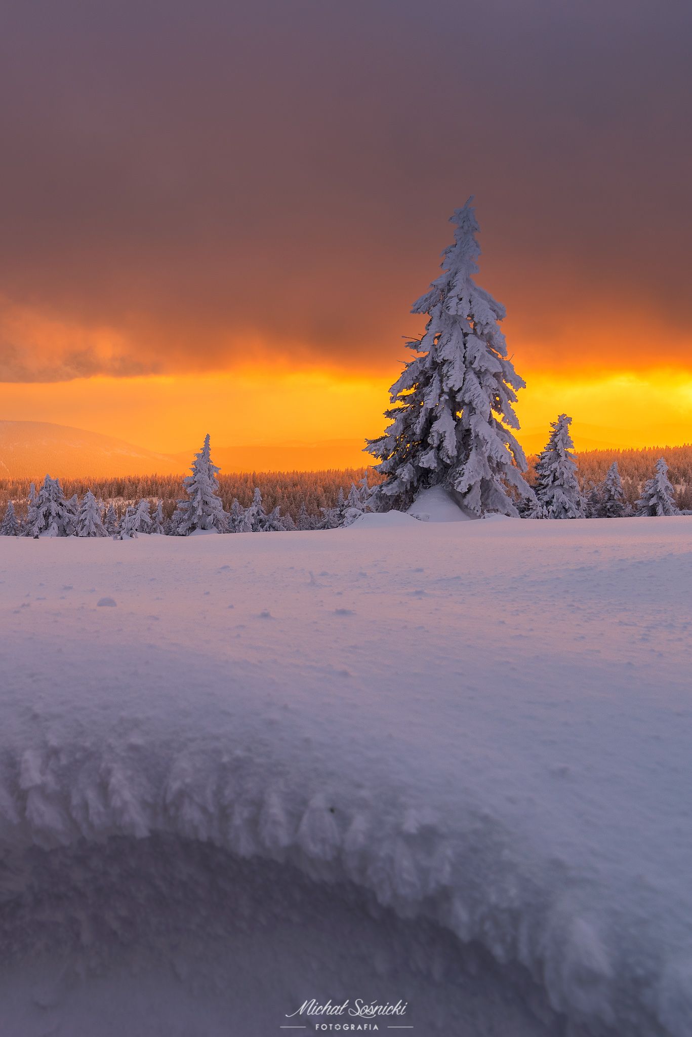 #tree #winter #sunset #sky #wood #nature #amazing #earth #pics #photo #best #poland #pentax #benro #haida, Sośnicki Michał