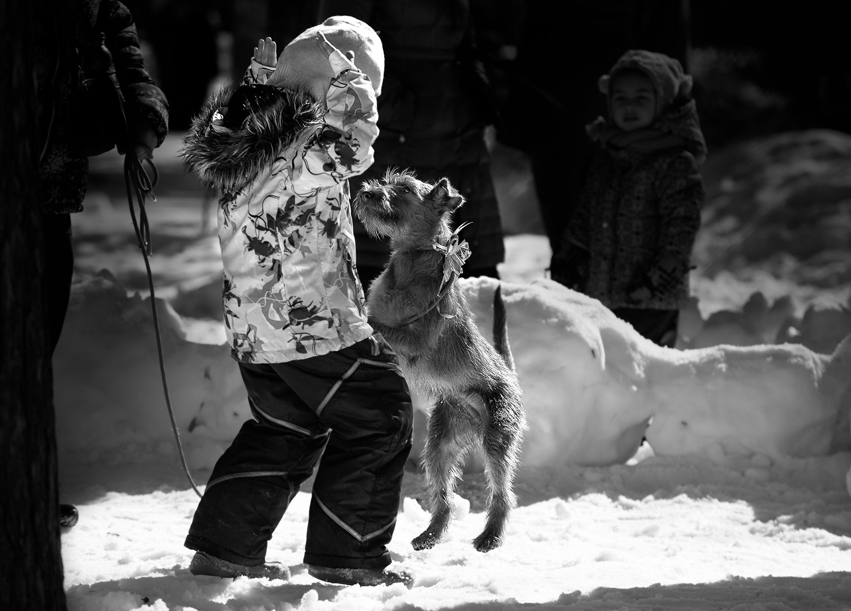 Весенние картинки. Photographer Vera Trandina