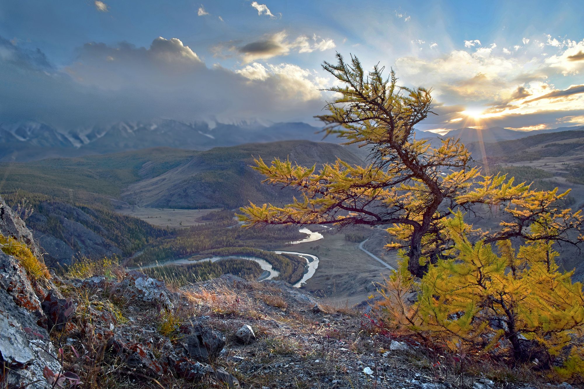 объемная карта россии. деревянная карта россии. крат 2023. объемная карта россии. карта россии.