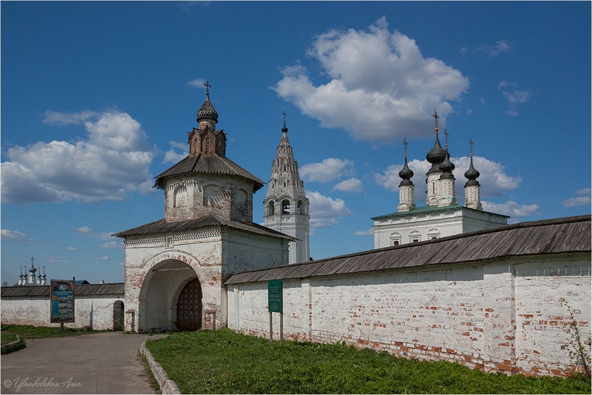 суздаль, архитектура, монастырь, Анна Цветковская