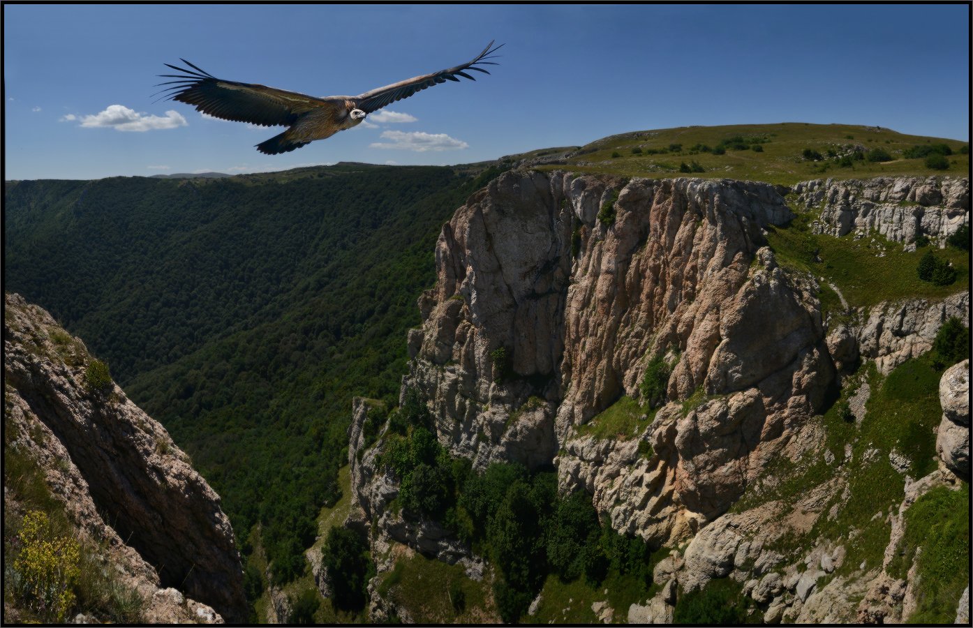 Орлиный каньон Крым
