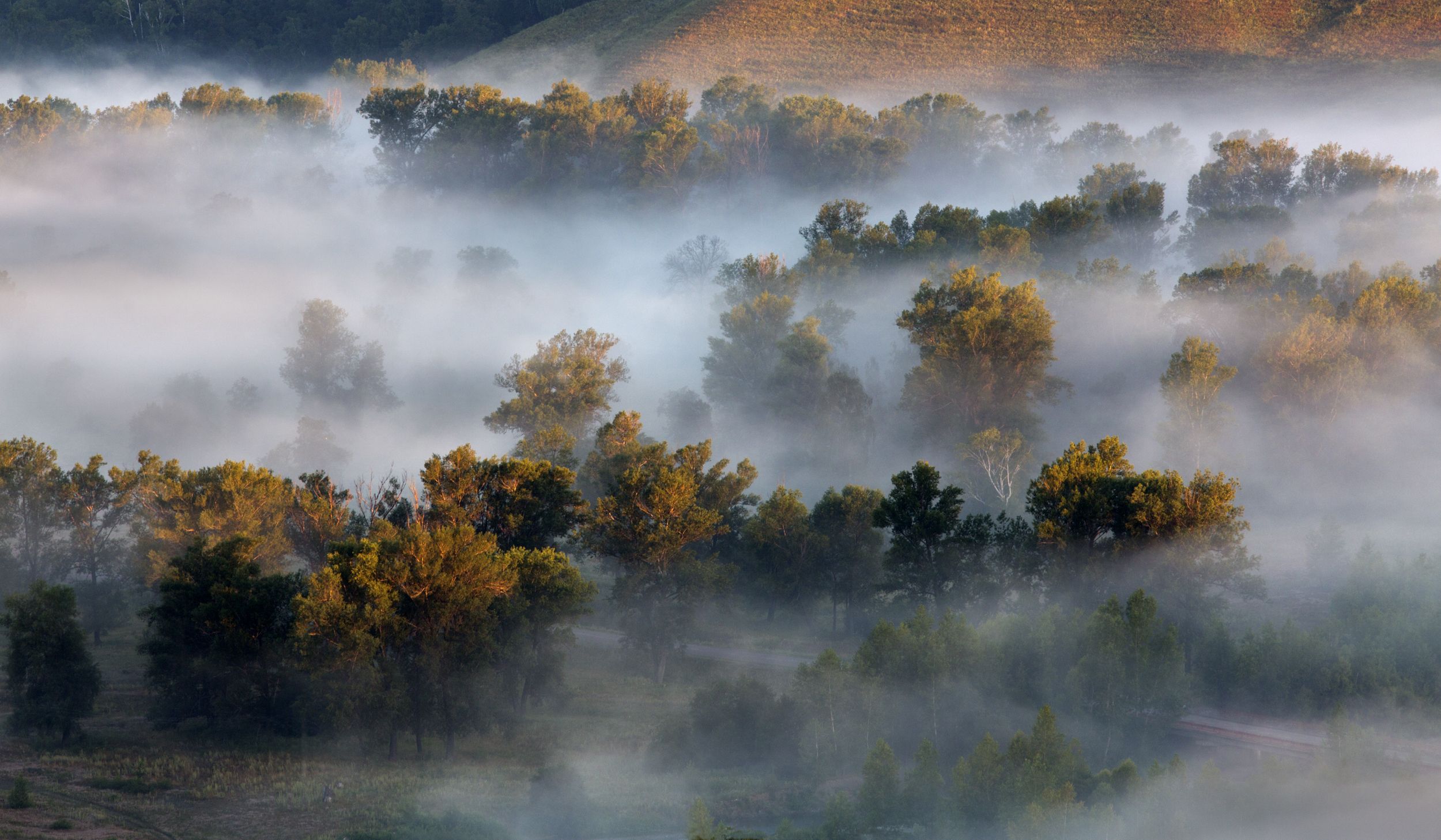 пейзаж,туман, урал, утро,landscape,fog,nature,morning, ural,, Олег Грачёв