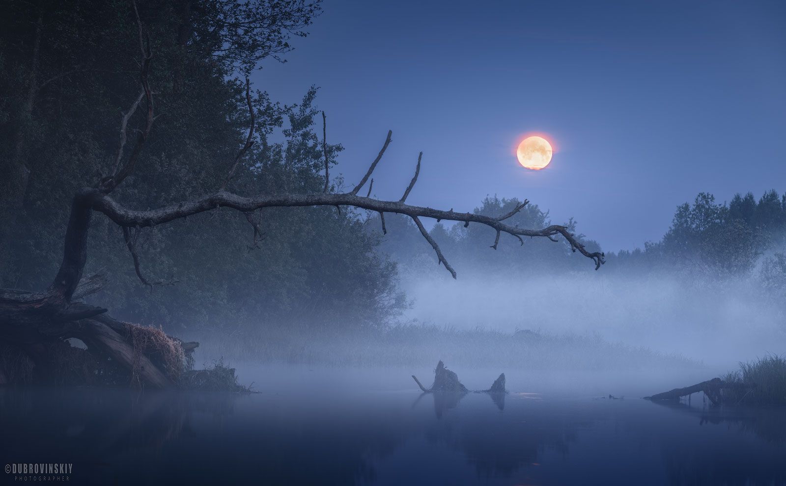 луна, река, туман, дерево, весна, суперлуние, Михаил Дубровинский