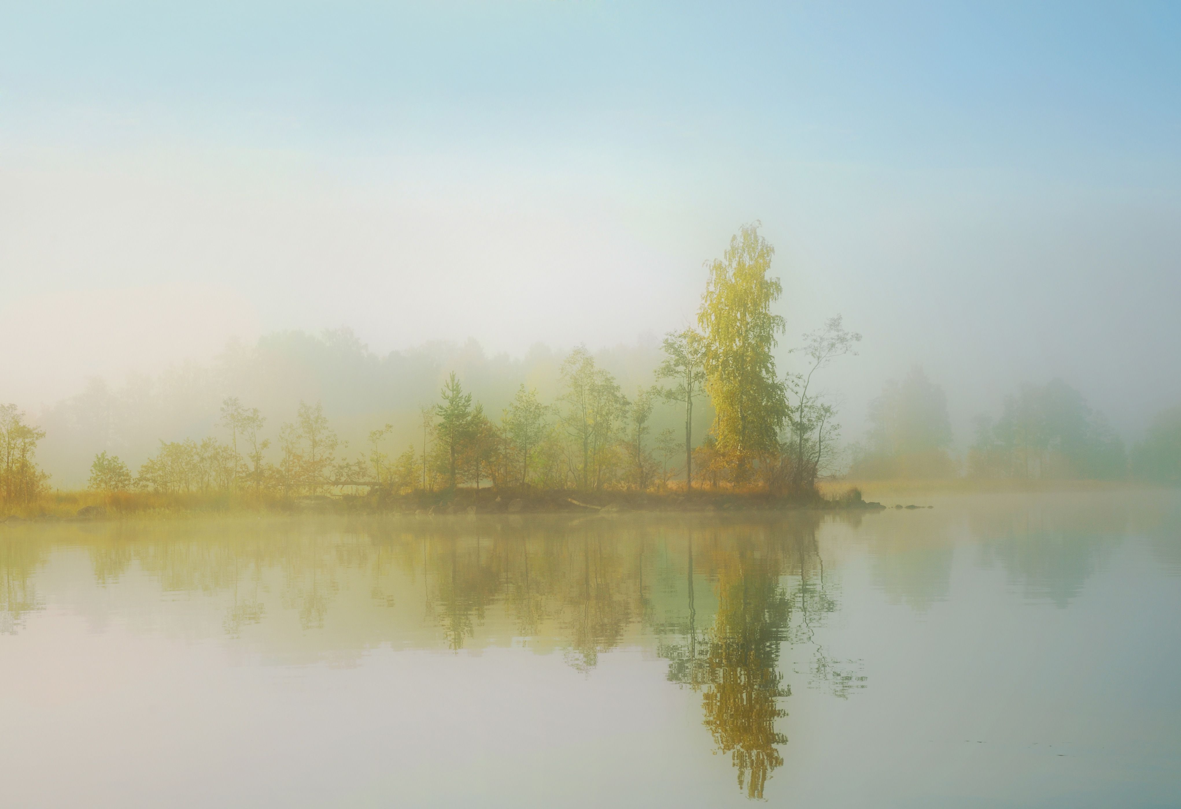 озеро деревья туман, Вера Петри