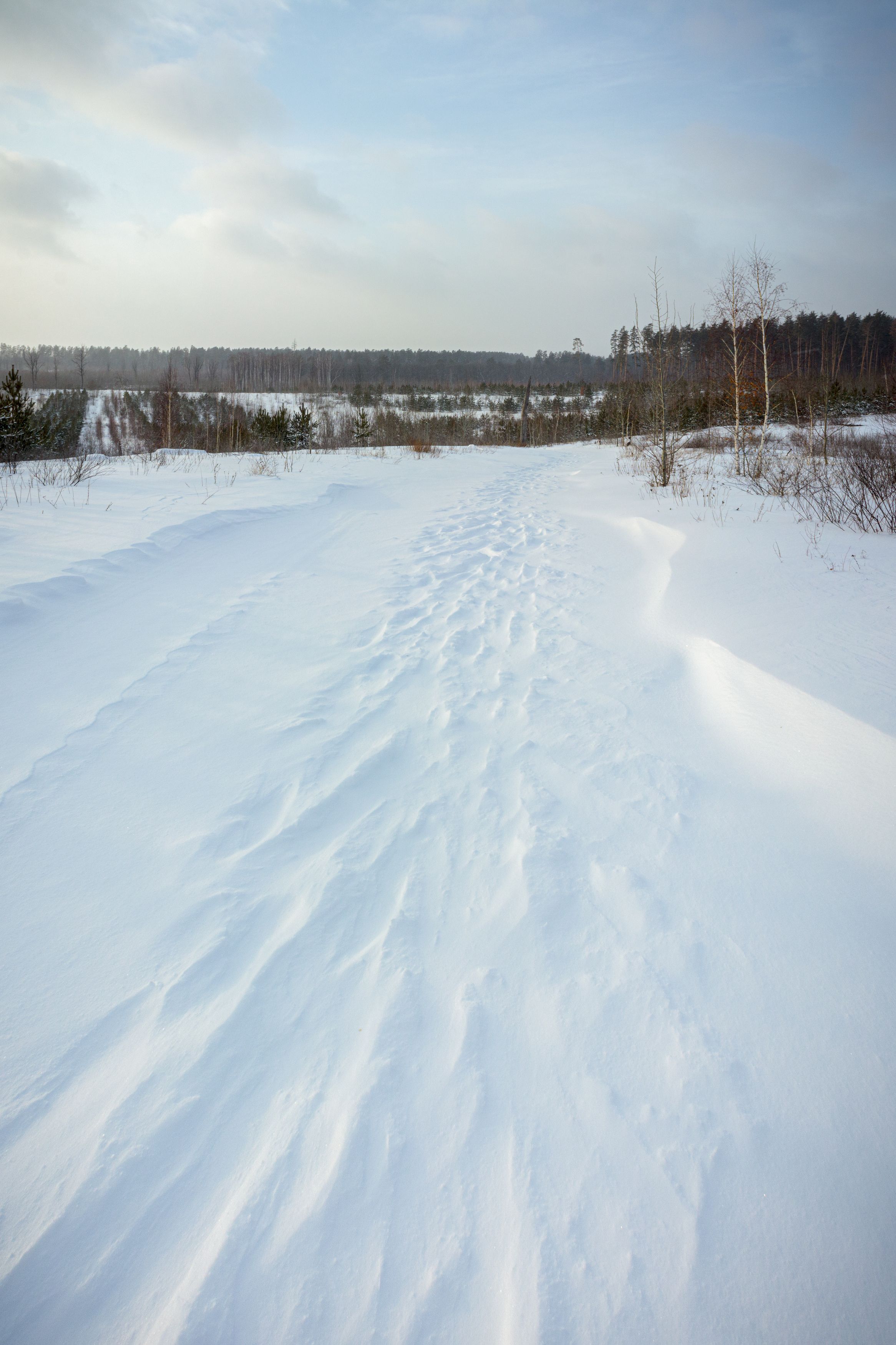 снег, зима, лес, Efremenko Nikita