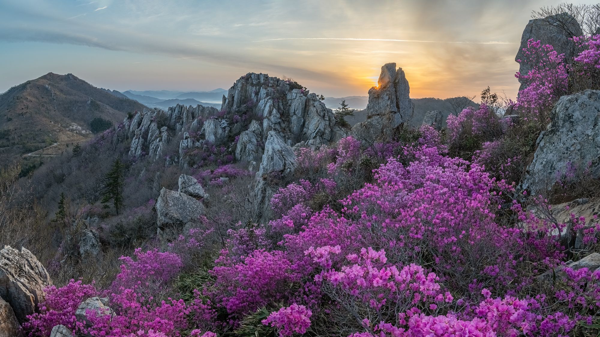 mountain, tree, nature, clouds, spring, flowers, sunrise, Jaeyoun Ryu