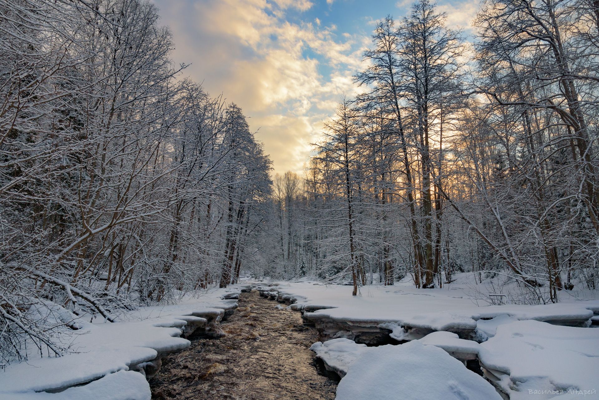 утро, рассвет, зима, линдуловская роща, ленинградская область, Vasilyev Andrey