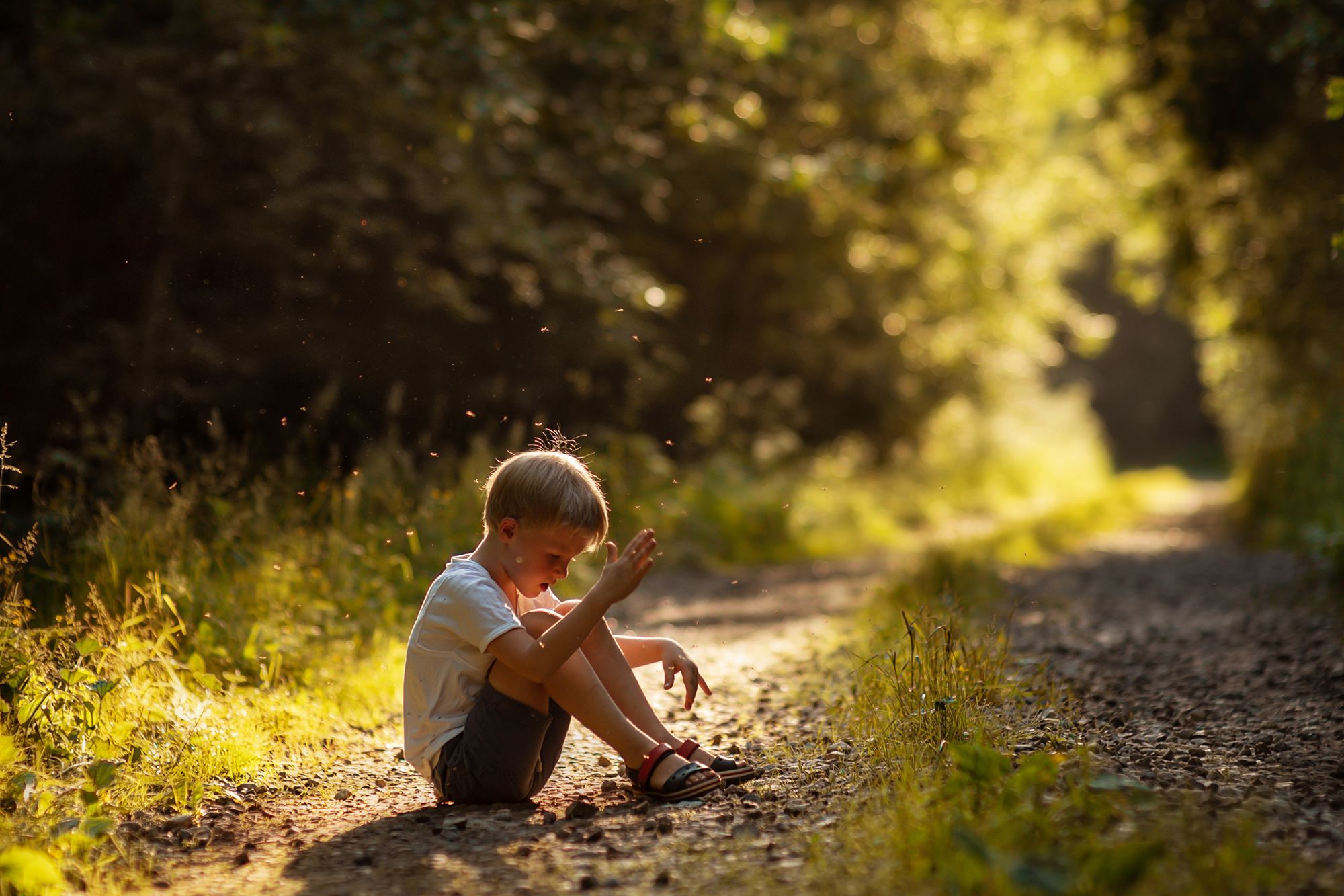 дети, детство, лето, дача, солнце, childhood, summer, Екатерина Часова