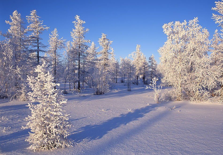 зимы прекрасные узоры, природа, снег, зима,пейзаж, Danil Husainov
