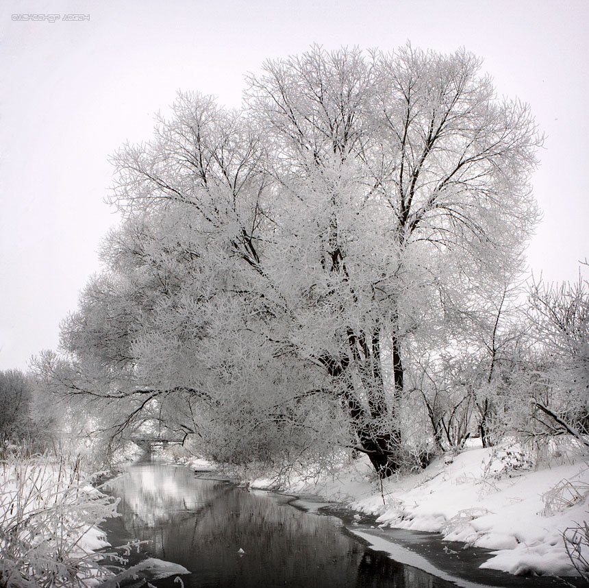 зима,река, Александр Лобач