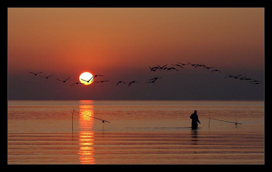 рыбак, птицы, солнцe, море, Karlis Keisters