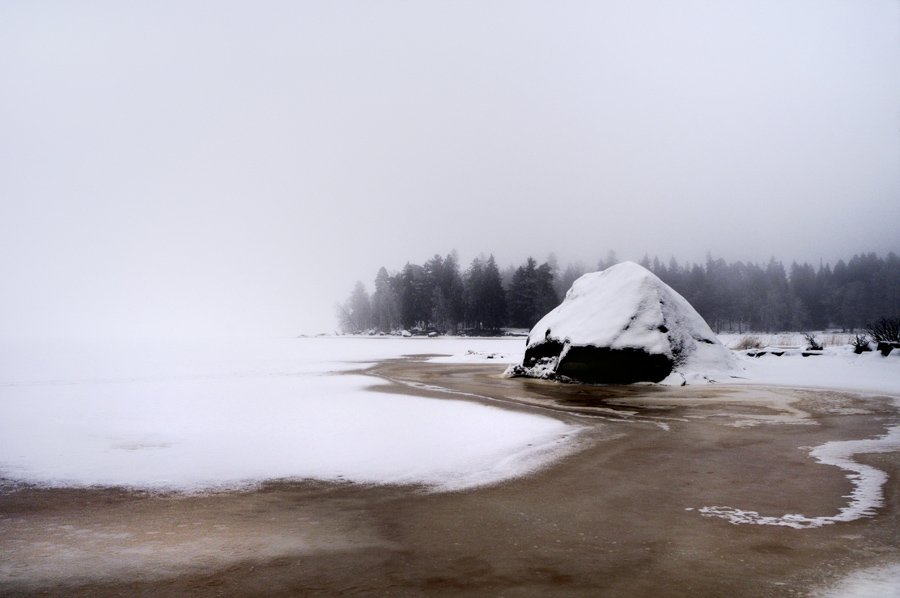 заповедник монрепо,выборг,туман,снег,природа,, Евгений Пугачев.