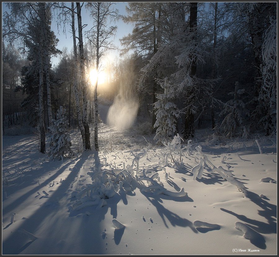 зима, лес, снег, солнце, Иван Жданов