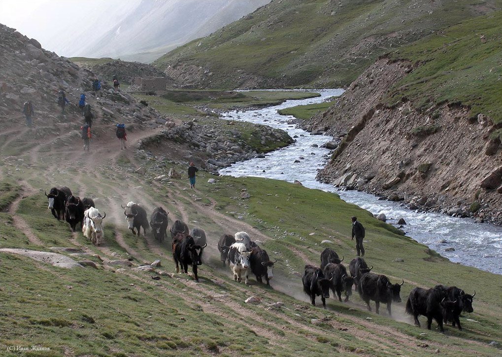 горы, памир, река, яки, киргизы, Иван Жданов