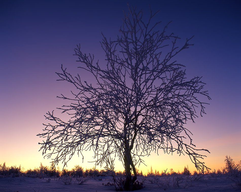 север, природа, зима, вечер,закат, Danil Husainov