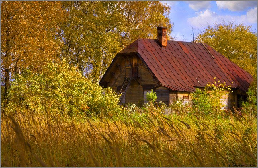 осень, пейзаж, Андрей Житков