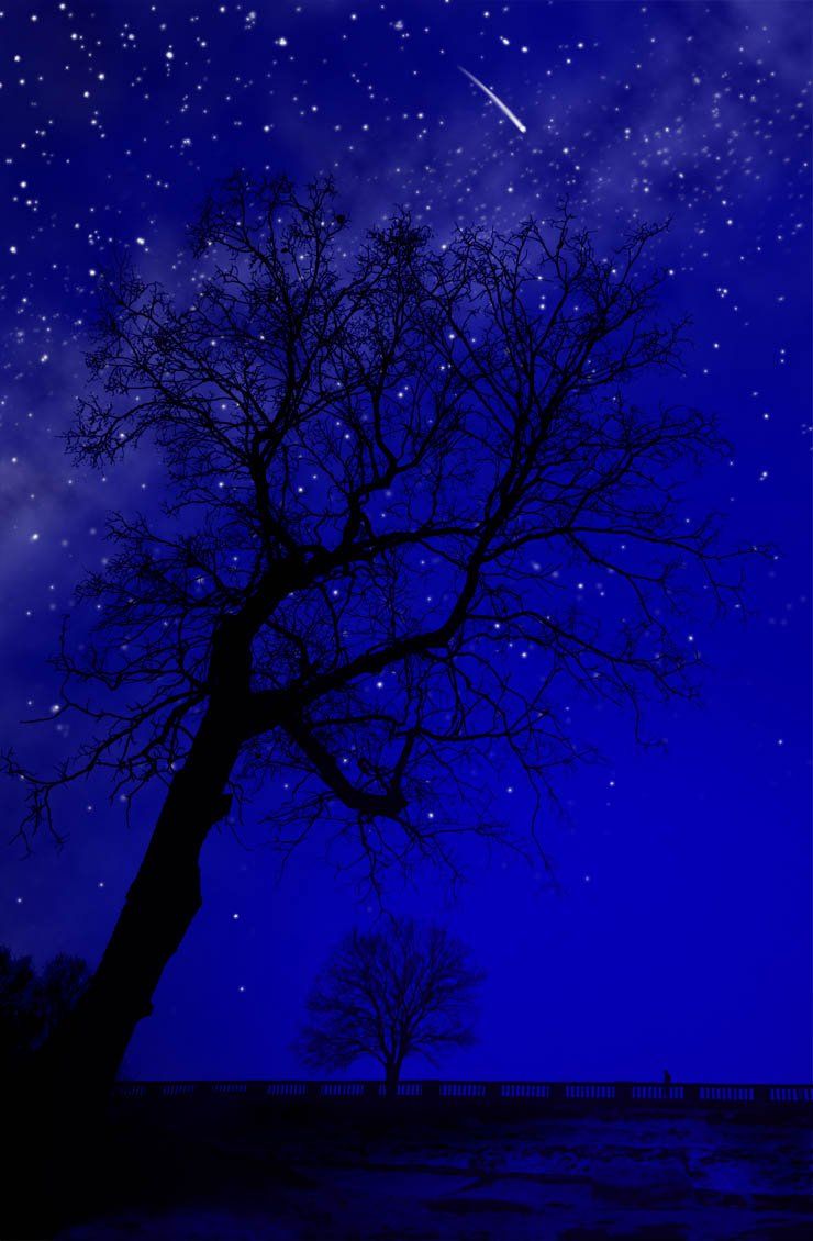 одиночество, дерево, звёзды, Пётр Мусатов