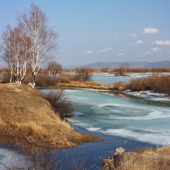 весна, береза, лёд, Виктор Бут