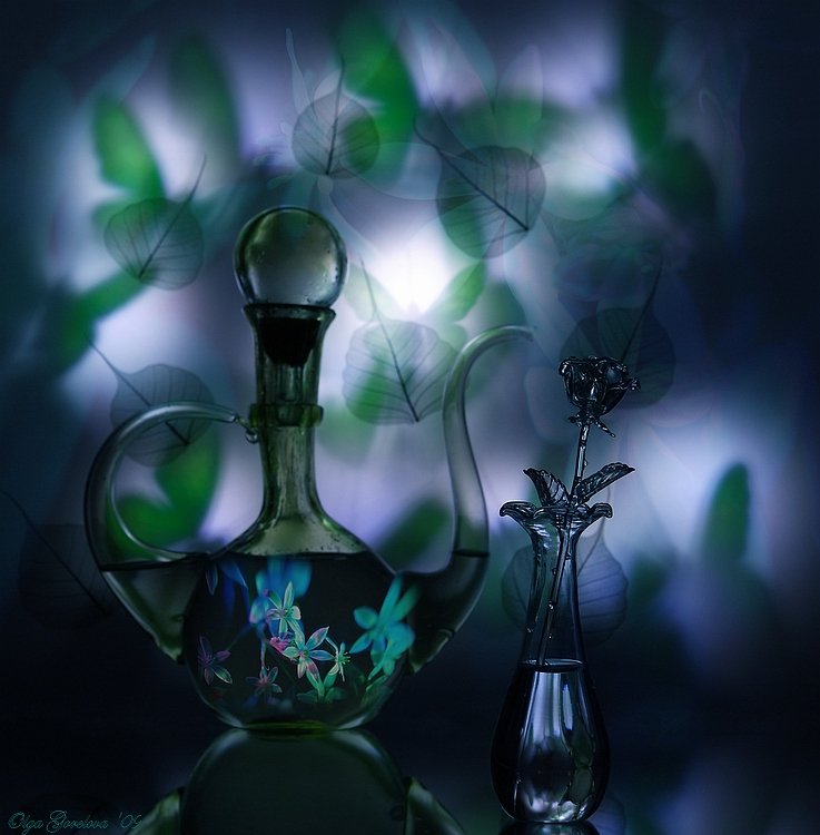 сон, фото, стекло, бокал, цветок, натюрморт, Ольга Горелова