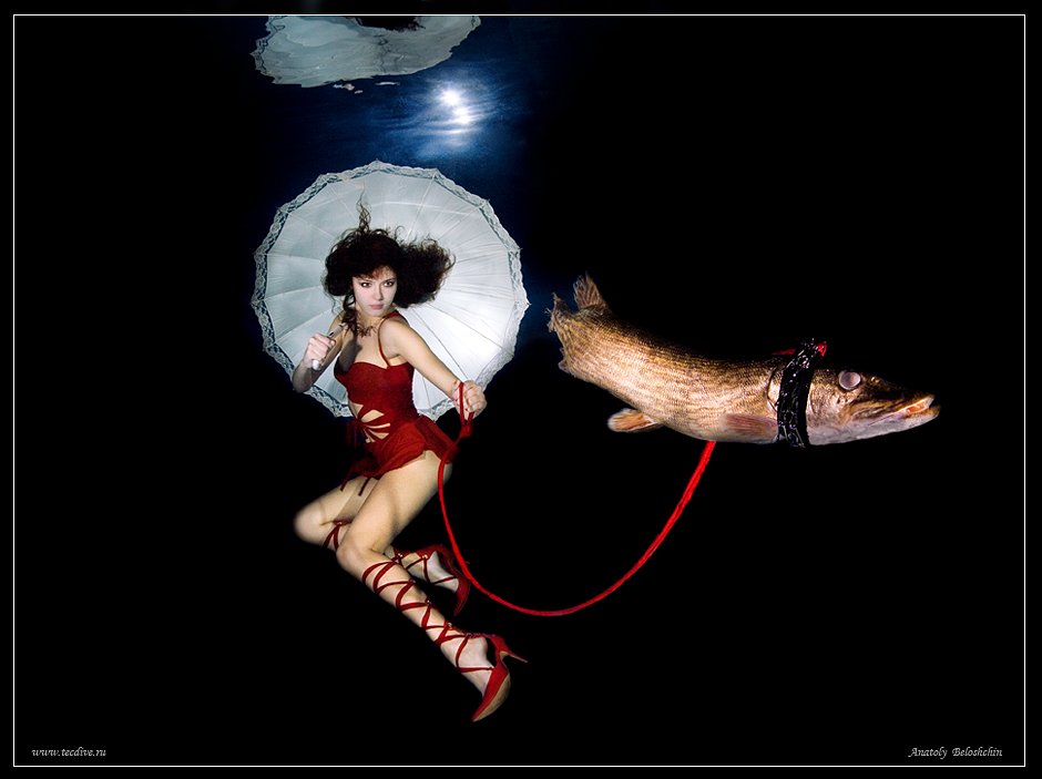 glamur, freediving, underwater, photo, glamur, anatoly, beloshchin, Anatoly  Beloshchin