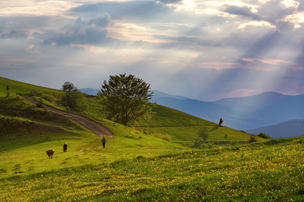 горы, карпаты, небо, облака, склоны, Ольга Максимова